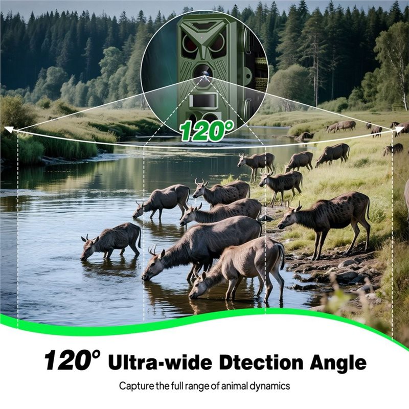 BTLIFE-Wildlife Surveillance 1 - مراجعة Trail Camera Infrared وسعره