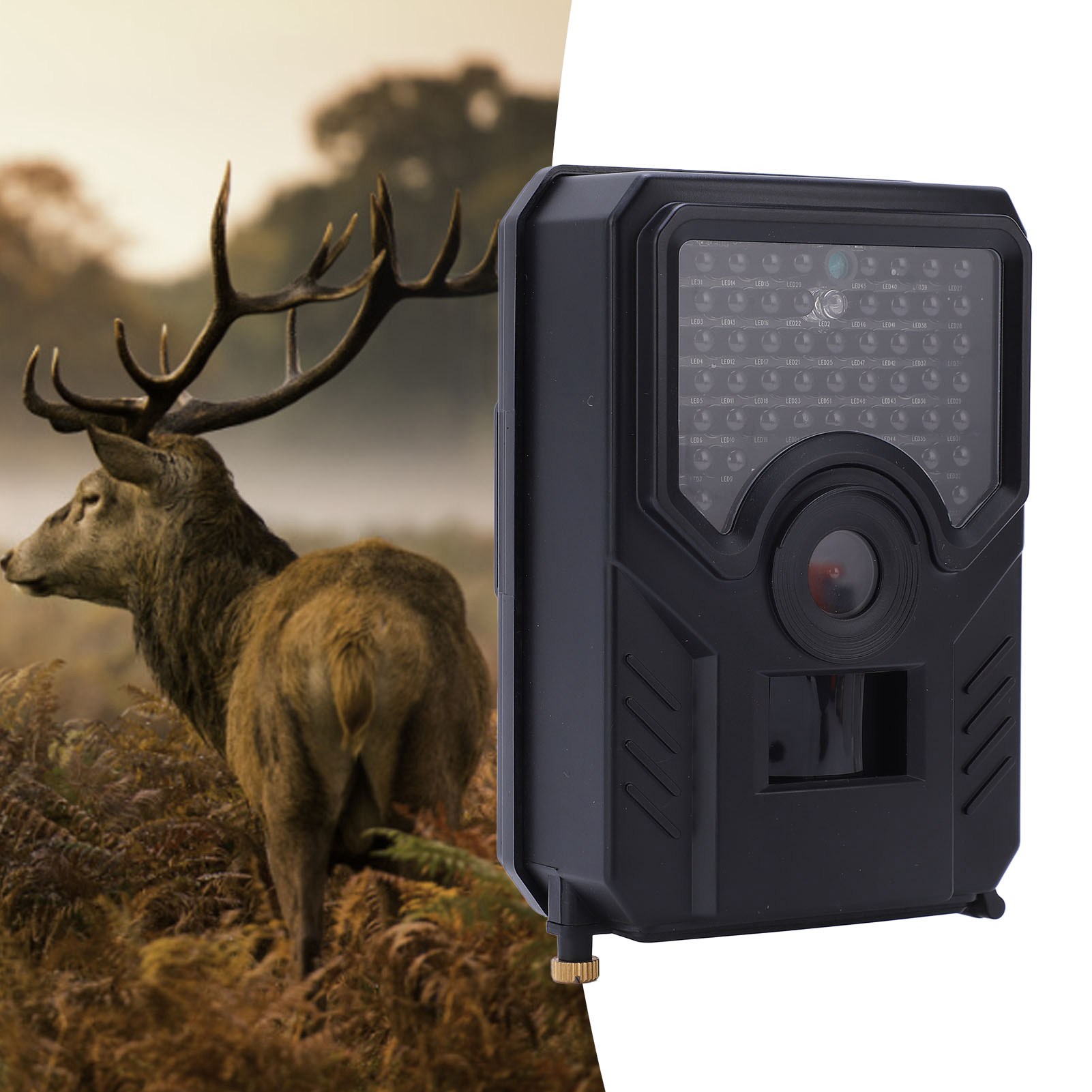 Infrared Hunting Camera Trail  - مراجعة Trail Camera Infrared وسعره