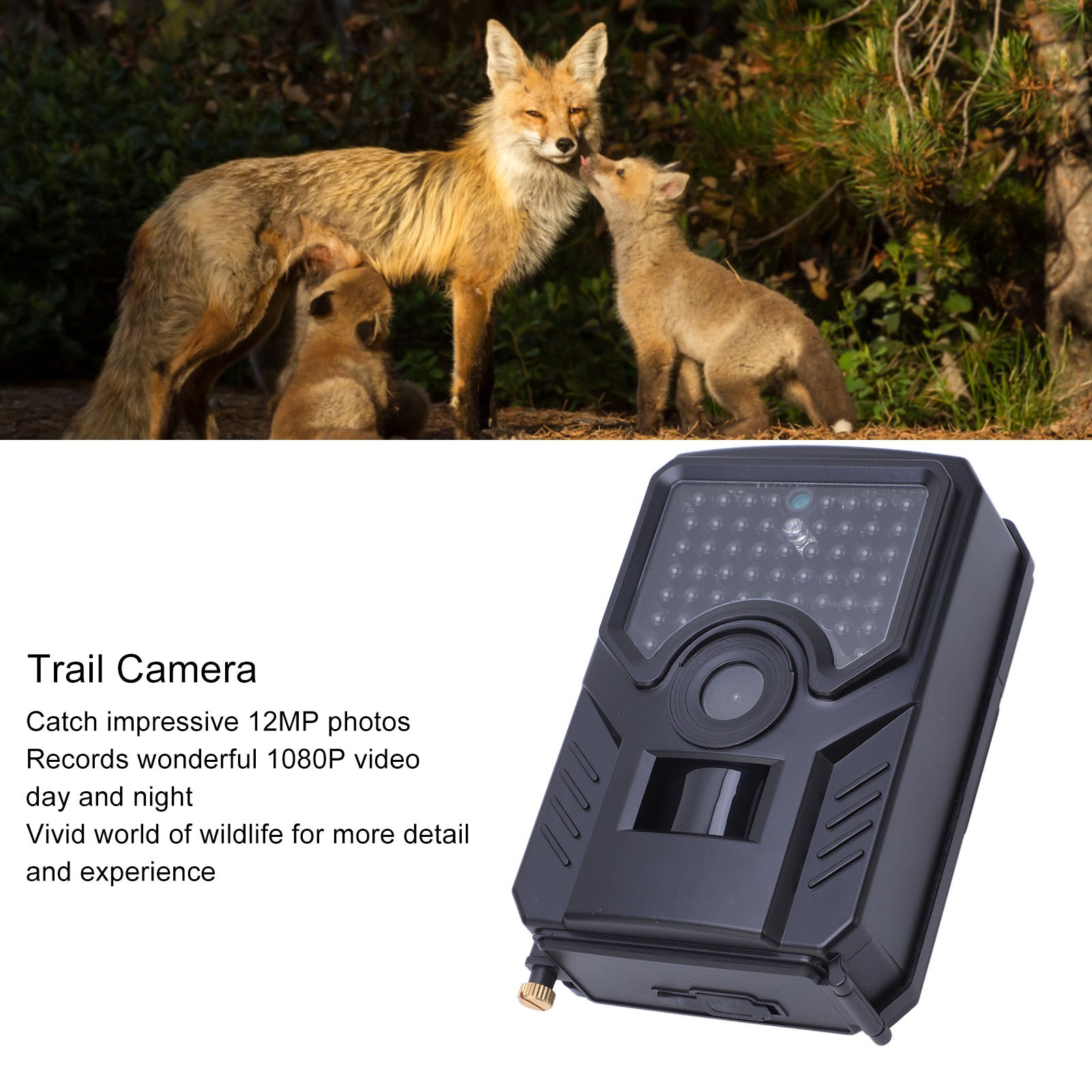 Infrared Hunting Camera Trail  - مراجعة Trail Camera Infrared وسعره