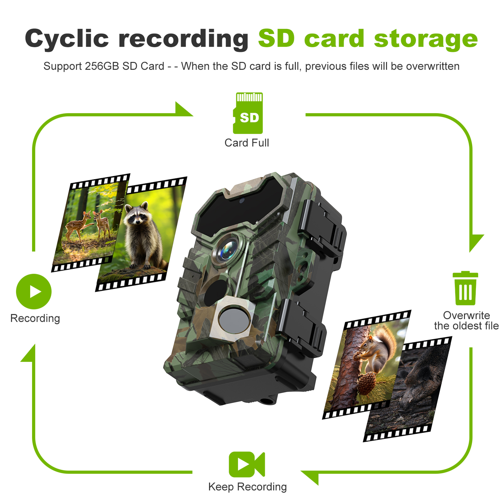 Wifi App Remote Control Trail  - مراجعة Trail Camera Infrared وسعره