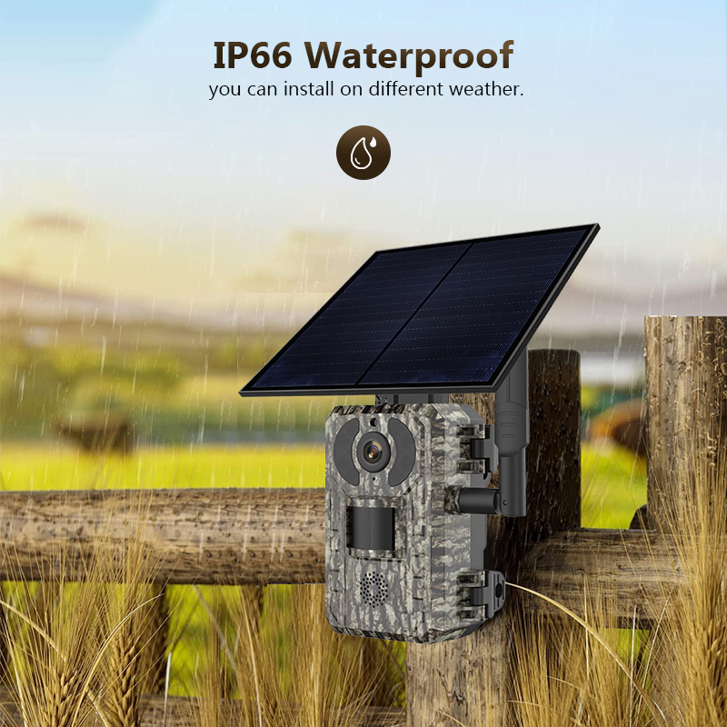 4G 4MP Outdoor Wildlife Huntin - مراجعة Trail Camera Infrared وسعره
