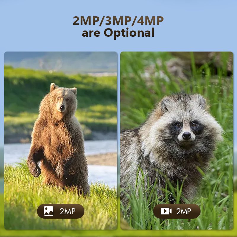 4G 4MP Outdoor Wildlife Huntin - مراجعة Trail Camera Infrared وسعره