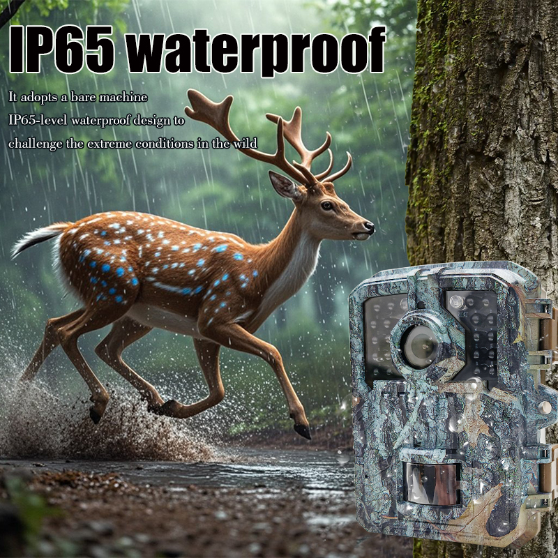 Trail Camera 16MP 1080P Waterp - مراجعة Trail Camera Infrared وسعره