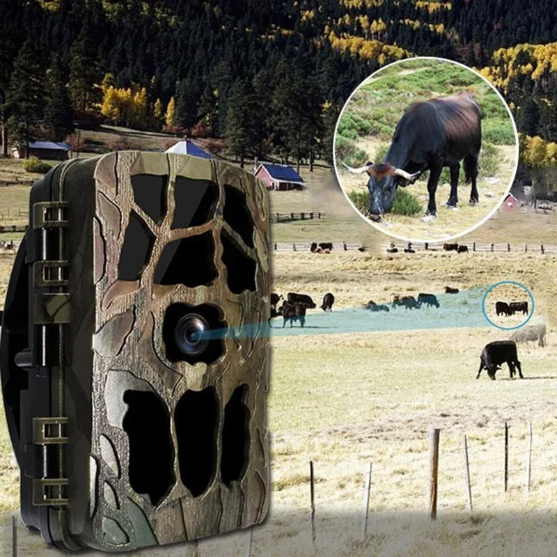 H982 IP66 Waterproof 4K Outdoo - مراجعة Trail Camera Infrared وسعره